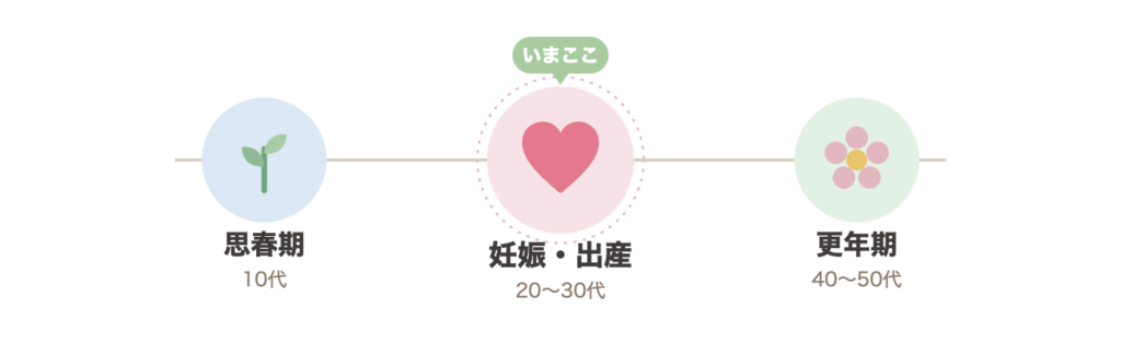 免疫バランスのターニングポイント:思春期(10代)・妊娠出産(20〜30代)・更年期(40〜50代)